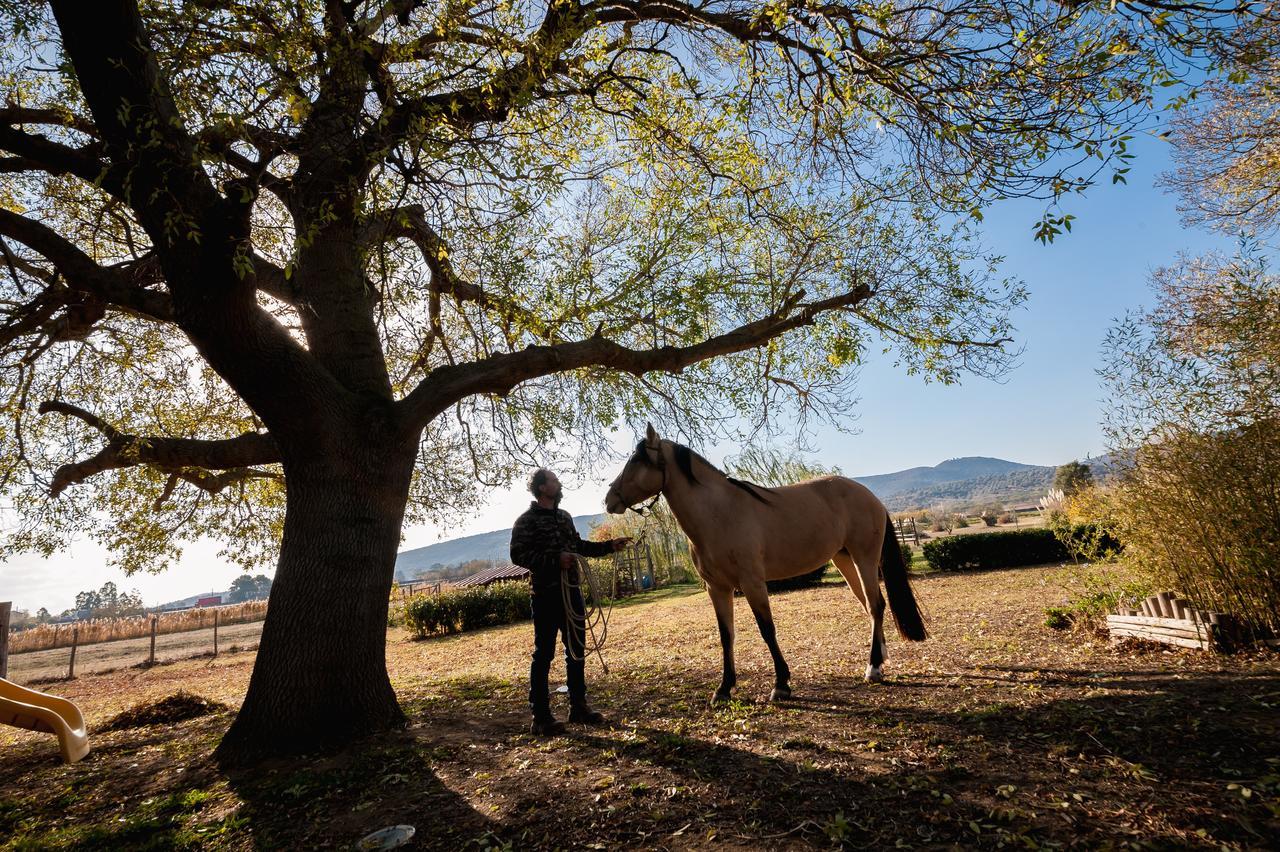 El Molino Agriturismo Fonteblanda Eksteriør billede